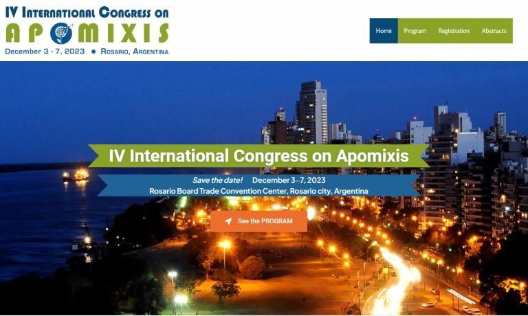 apomixis